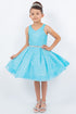 Big Girls Multi Color Glitter Mesh V Neck Short Dress 4-16